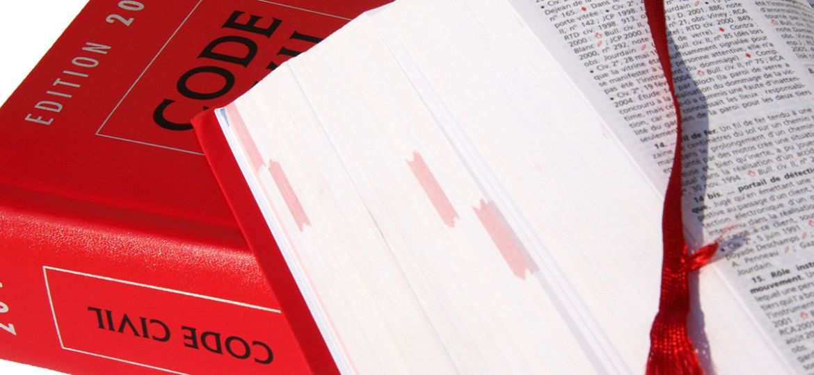 Les vices du consentement (Demo)